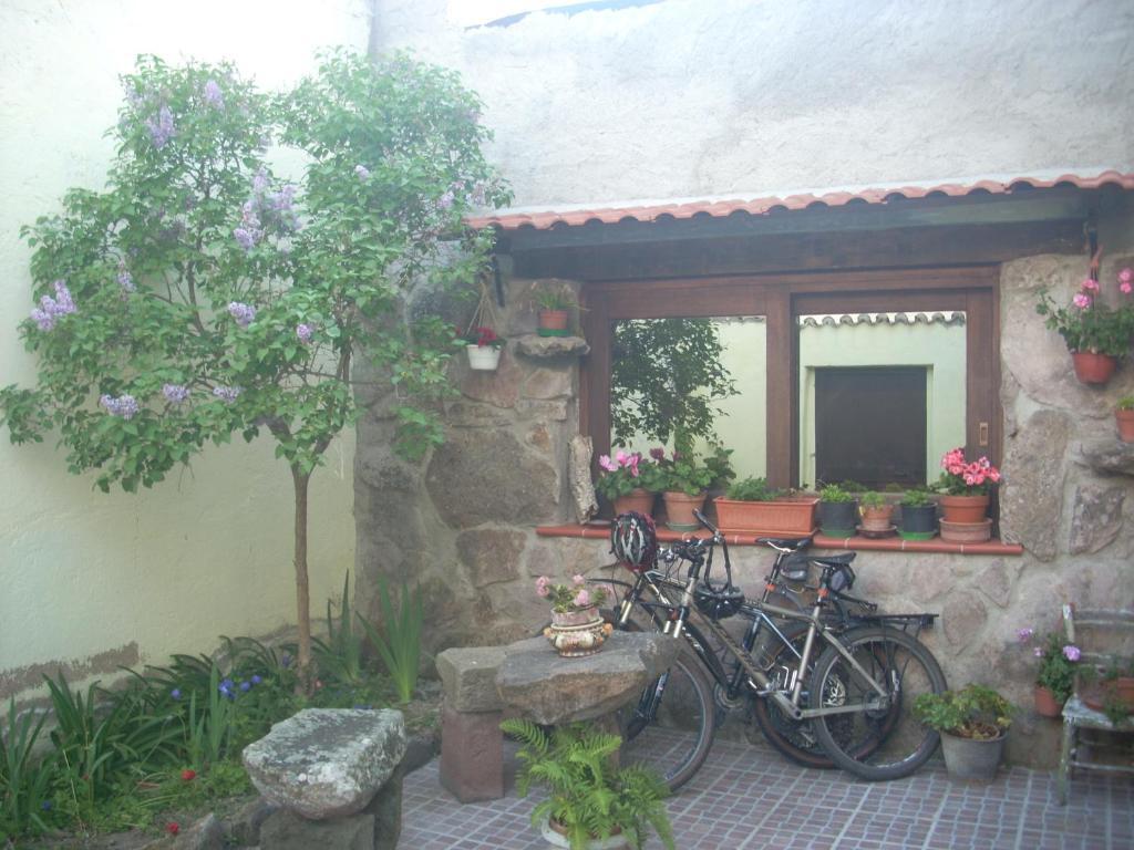 Sa Rosa E Su Trapperi Bed and Breakfast Oschiri Esterno foto