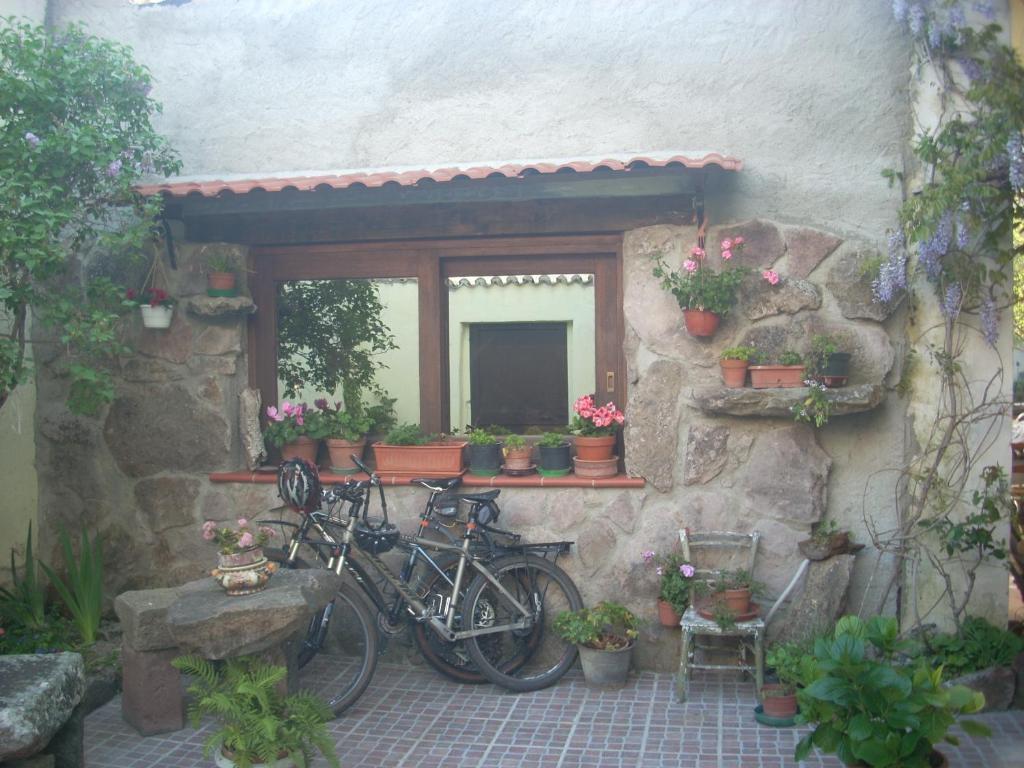 Sa Rosa E Su Trapperi Bed and Breakfast Oschiri Esterno foto